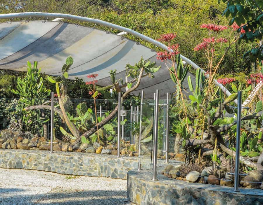 Medellín: Botanical Garden and Arvi Park City Tour - Arví Park: protected forest trails and calm viewpoints