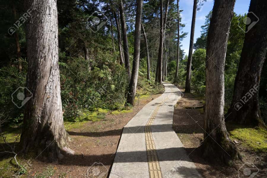Medellín: Botanical Garden and Arvi Park City Tour - Time on your feet: walking pace, weather, and what to pack