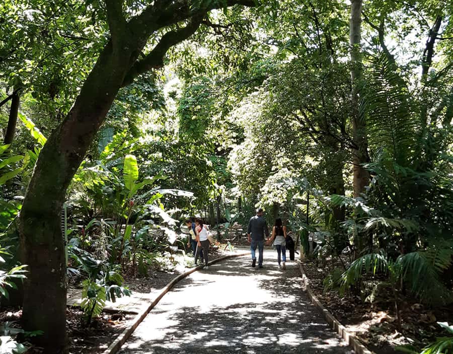 Medellín: Botanical Garden and Arvi Park City Tour - Guide quality and English support: Alejandro, Andrés, and Santiago
