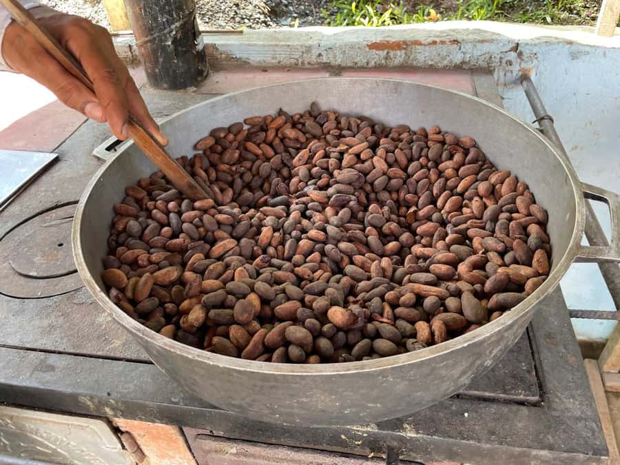 Medellín: Chocolate Tour & Exfoliation in beautiful river - Medellín’s best combo: chocolate education plus real relaxation