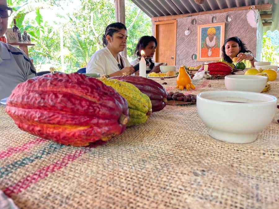Medellín: Chocolate Tour & Exfoliation in beautiful river - San Francisco cacao tour: where cacao becomes chocolate (and why environment matters)