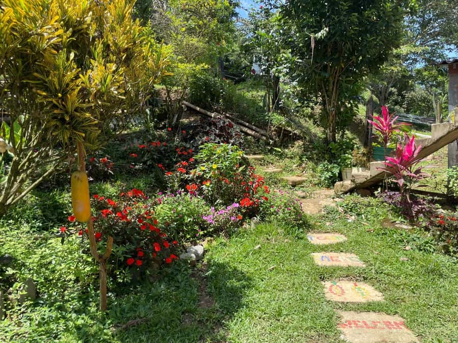 Medellín: Chocolate Tour & Exfoliation in beautiful river - The river finish in Pailania: cocoa-butter exfoliation, then a waterfall massage