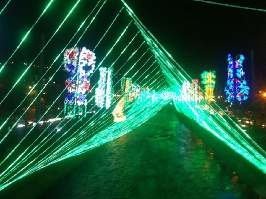 Medellin Christmas Lights Tour - Who This Tour Is Best For