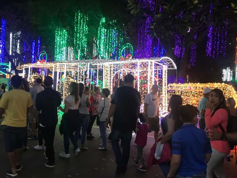 Medellin Christmas Lights Tour - How the 4-Hour Tour Actually Plays Out