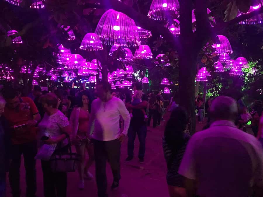 Medellin Christmas Lights Tour - After the River Parks: How the Other Stops Keep the Evening Fresh