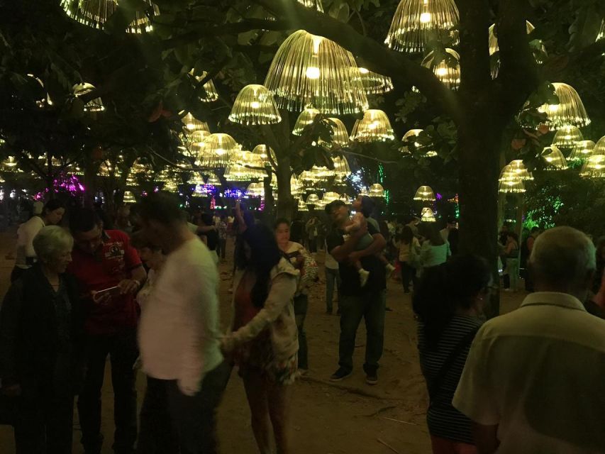 Medellin Christmas Lights Tour - The Light Shows: What to Watch for (Beyond the Obvious Photos)