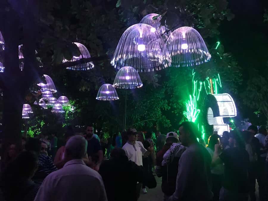Medellin Christmas Lights Tour - Price: Is $60 Worth It for 4 Hours?