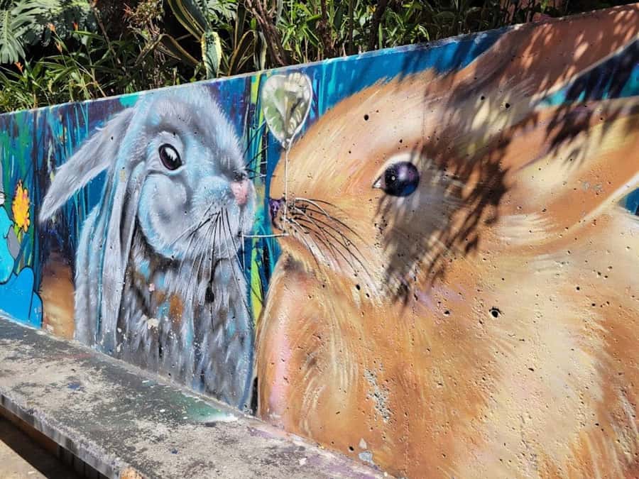 MEDELLIN: CITY TOUR MEDELLIN + GRAFFITOUR COMUNA 13 - Metro and Metrocable: Public transport as the real theme
