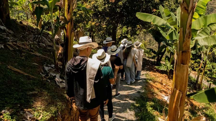 Medellin: Coffee and fruit tour - Quick hits you’ll actually care about