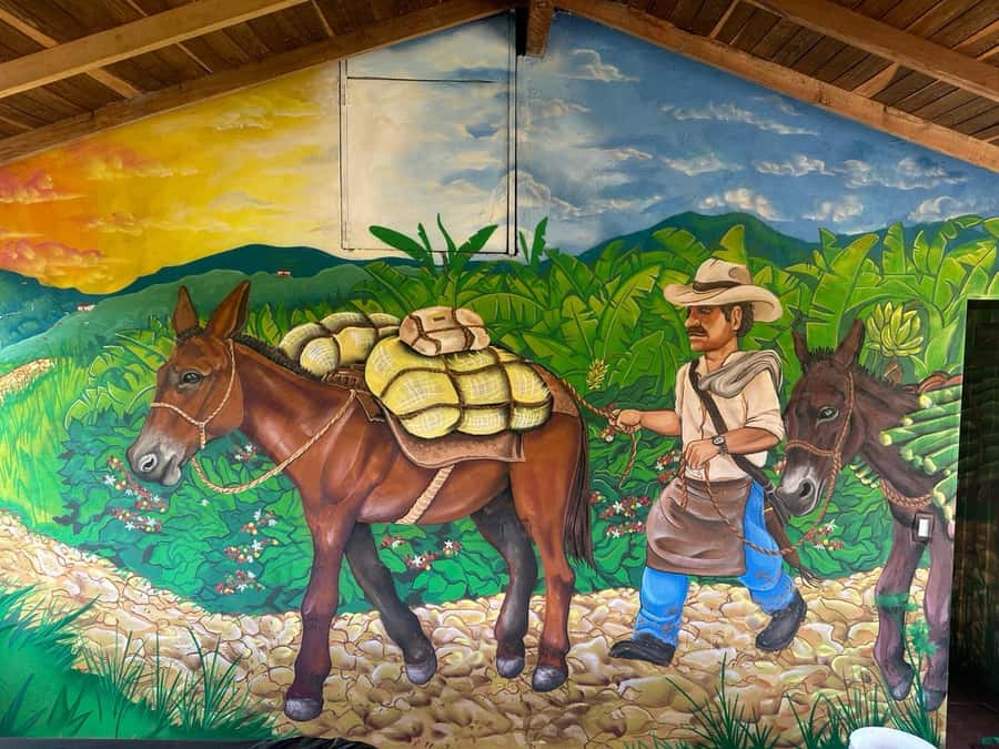 Medellin: Coffee and fruit tour - Price and value: is $67 for 3 hours a fair deal?