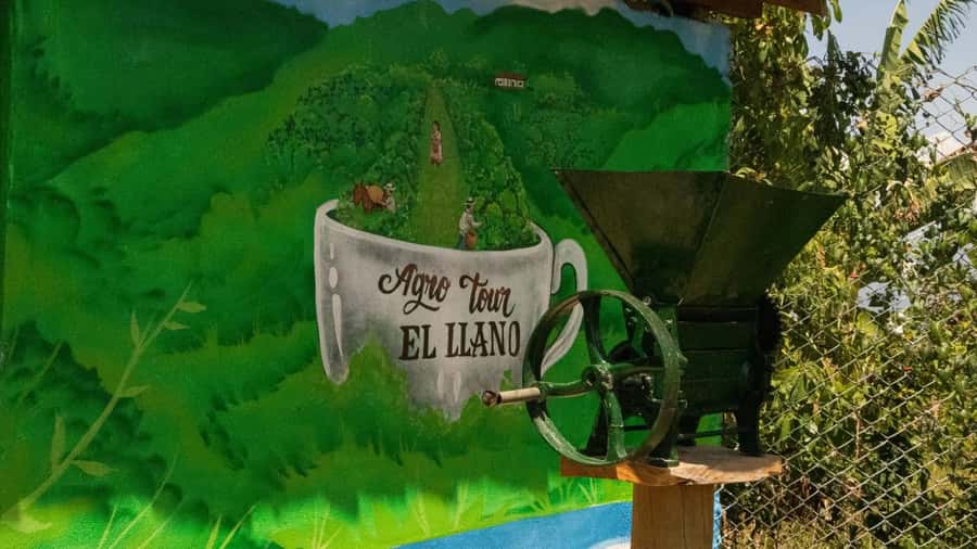 Medellin: Coffee and fruit tour - Tropical fruit tastings you can actually recognize