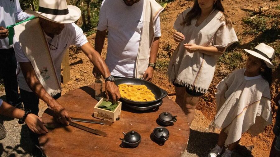 Medellin: Coffee and fruit tour - Photo stops and the scenery you’ll remember longer than the timer