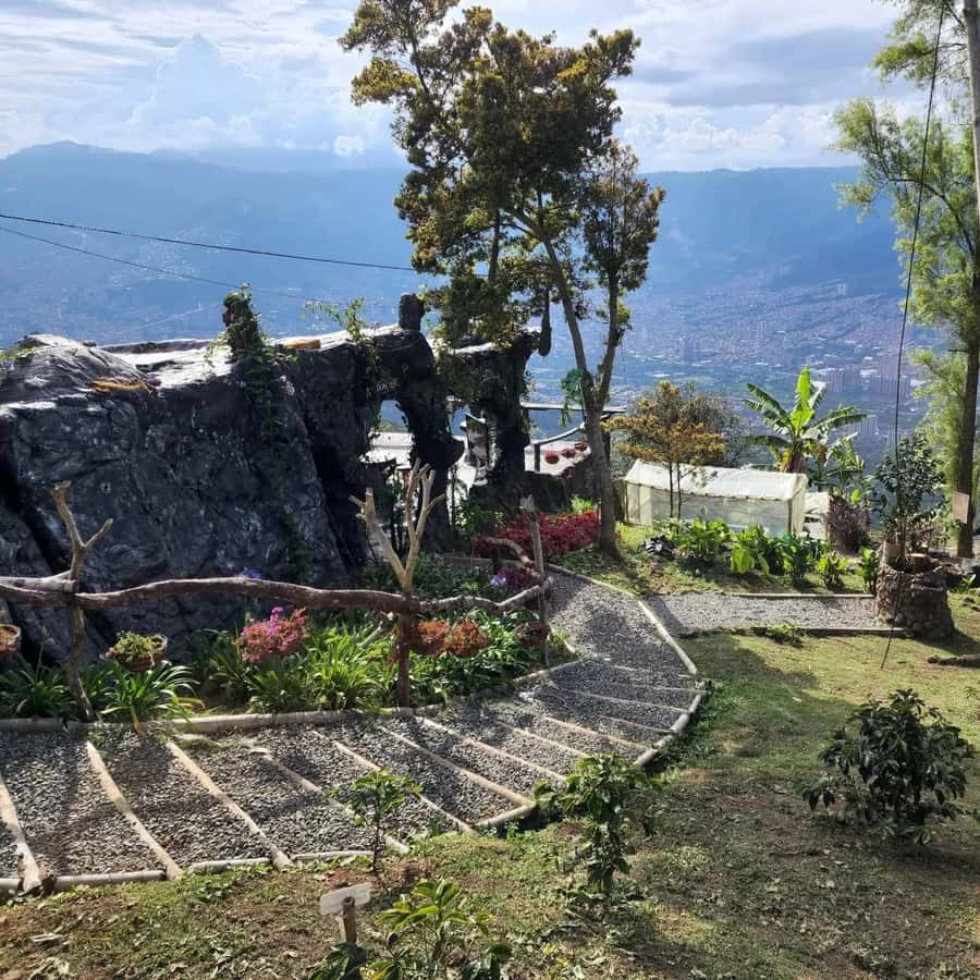 Medellin: Coffee Farm and Barista Workshop Experience - Medellín Coffee That Teaches You How, Not Just What
