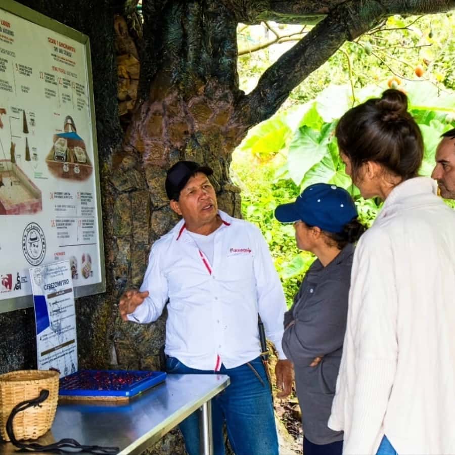 Medellin: Coffee Farm and Barista Workshop Experience - The Workshop: A 3-Hour Barista Session with Real Training