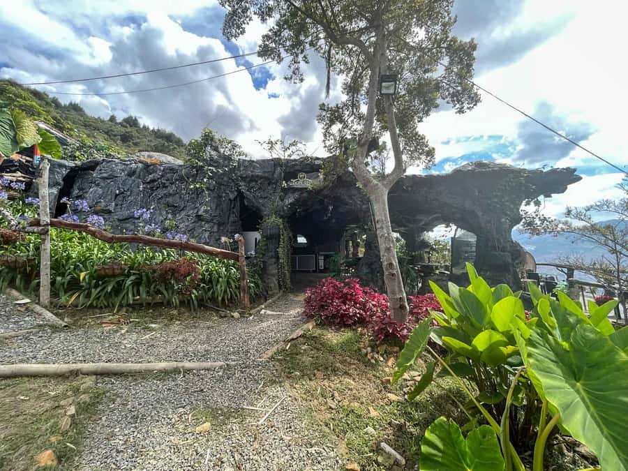 Medellin: Coffee Farm and Barista Workshop Experience - Should You Book Don Leandro’s Coffee Farm Barista Workshop?