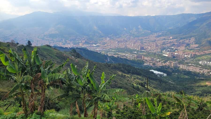 Medellin: Coffee Farm Tour & Spa with Overnight Glamping - Coffee wellness spa: massage, scrub, facial mask, and coffee temazcal steam