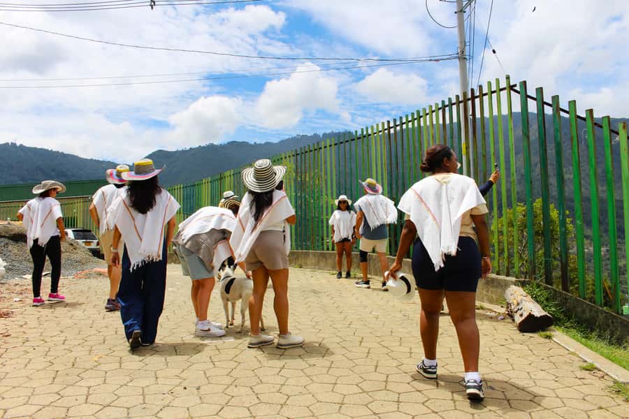 Medellín Coffee Farm Tour with Trolley and Cable Car Ride - Price and value: is $56 really fair?