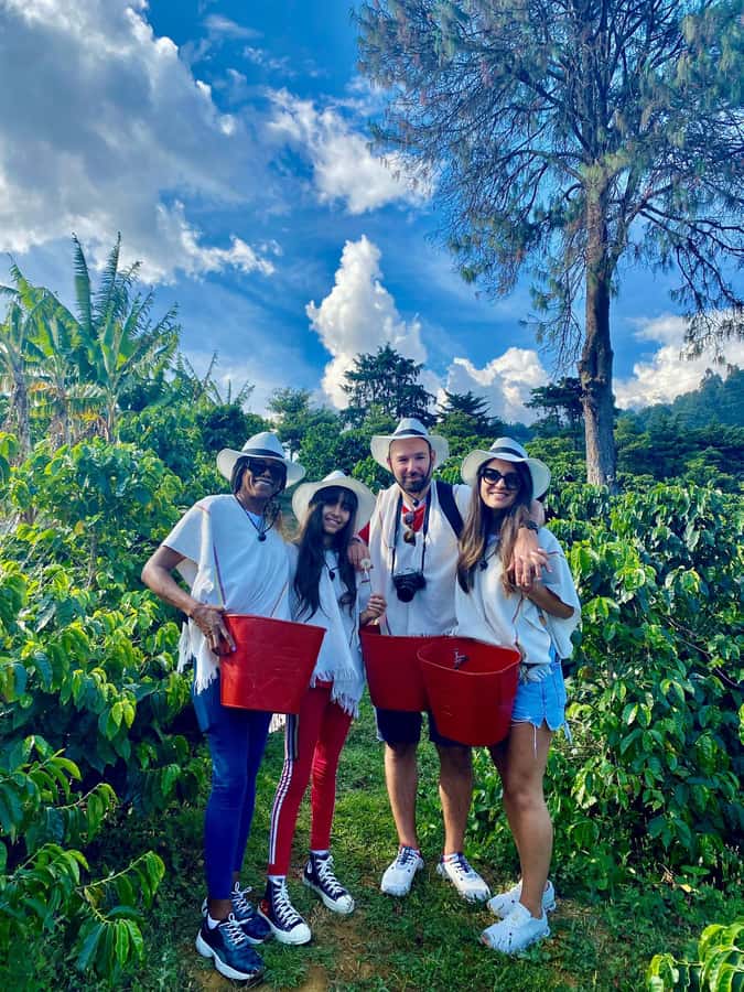Medellín Coffee Farm Tour with Trolley and Cable Car Ride - Barrio La Sierra walking tour: everyday streets, not a staged stop