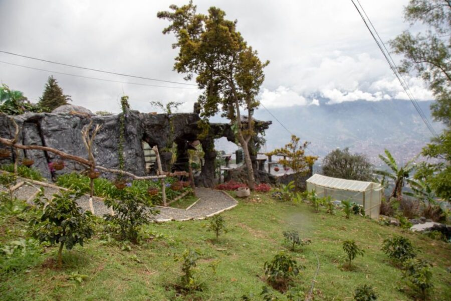 Medellin: Coffee Tour and Wellness Spa - Should you book the Don Leandro Coffee Tour and Wellness Spa?