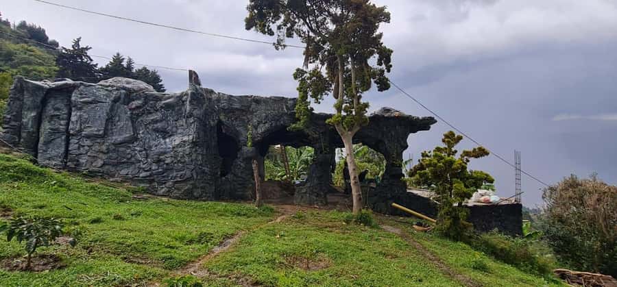 Medellin: Coffee Tour and Wellness Spa - Don Leandro coffee farm: from planting to your cup