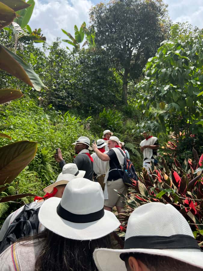 Medellín: Coffee Tour Experience at a Coffee Farm - Meet the coffee master: Colombian coffee history you can connect to