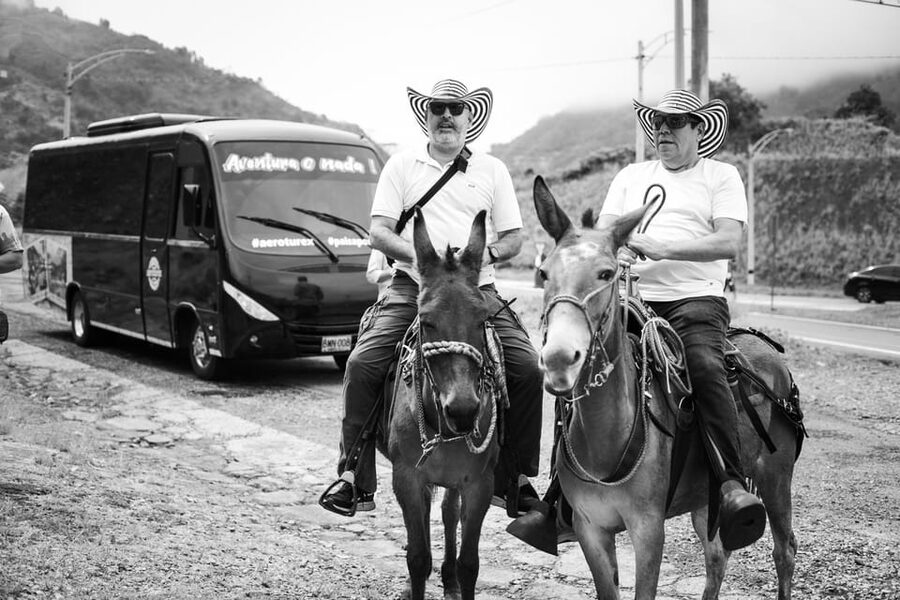 Medellin: Coffee Tour, Horseback Arrival, and Sugar Cane - Should you book? My straight answer