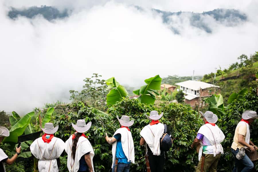Medellin: Coffee Tour, Horseback Arrival, and Sugar Cane - Coffee tasting: how to enjoy it even if you’re picky