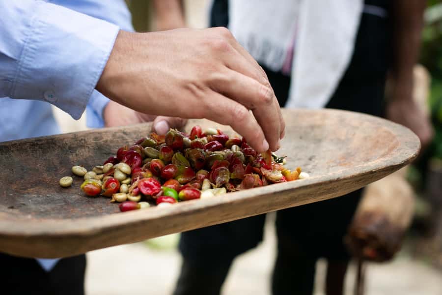 Medellin: Coffee Tour, Horseback Arrival, and Sugar Cane - Value check: is $76 for 6 hours actually worth it?