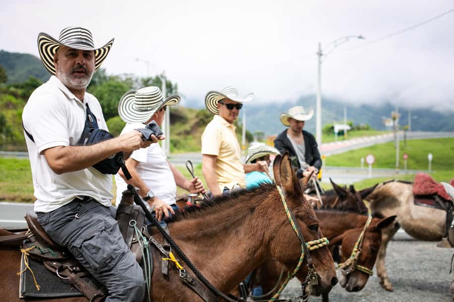 Medellin: Coffee Tour, Horseback Arrival, and Sugar Cane - Horseback arrival to the finca: fun, but know what you’re signing up for