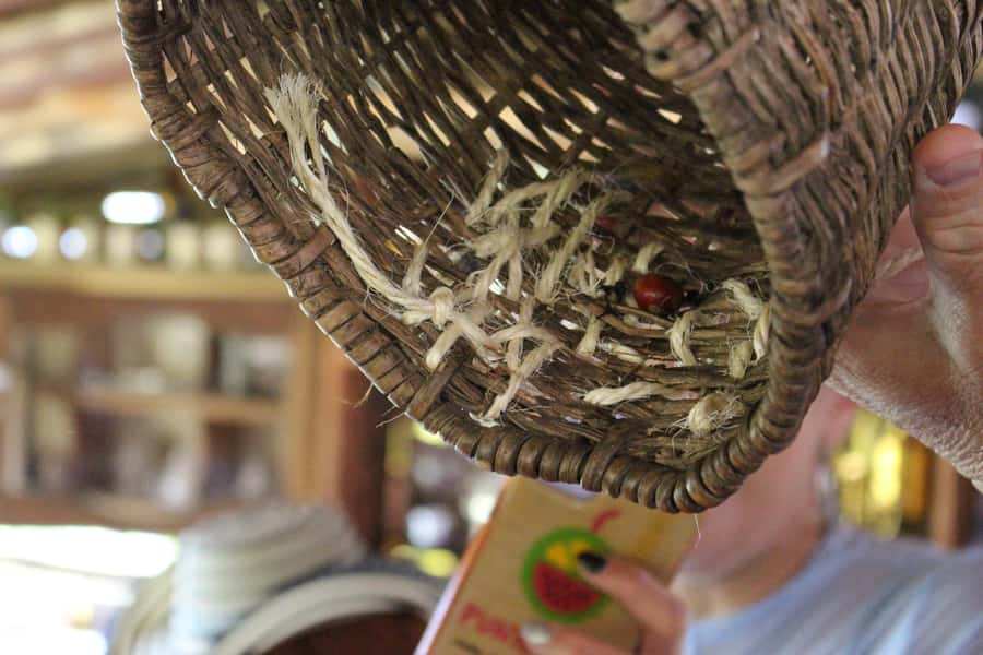 Medellin: Coffee Tour with Hotel Transfers and Meals - Who should book this Medellín coffee tour (and who should skip it)