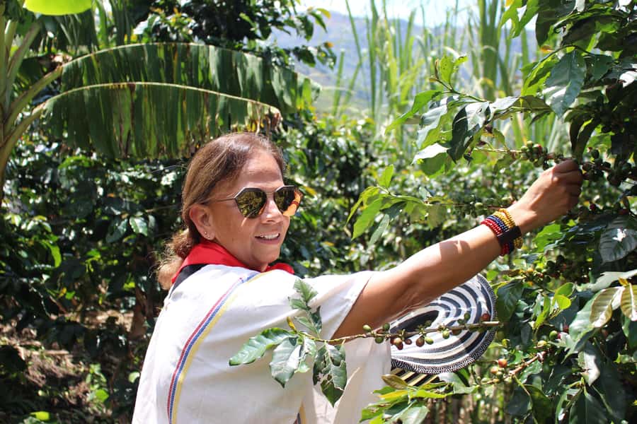 Medellin: Coffee Tour with Hotel Transfers and Meals - Medellín-to-the-finca: pickups, drive time, and what 4 hours really means