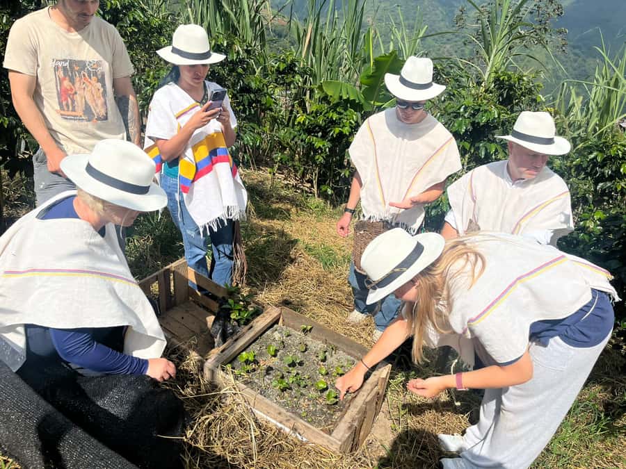 Medellin: Coffee Tour with Hotel Transfers and Meals - Coffee farm basics: from seeds to roasting and milling (plus a panela stop)