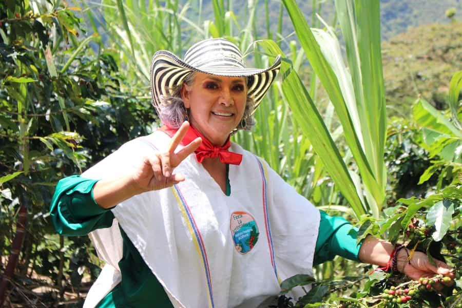 Medellin: Coffee Tour with Hotel Transfers and Meals - Price and value: why $70 can make sense (if you want the whole day)