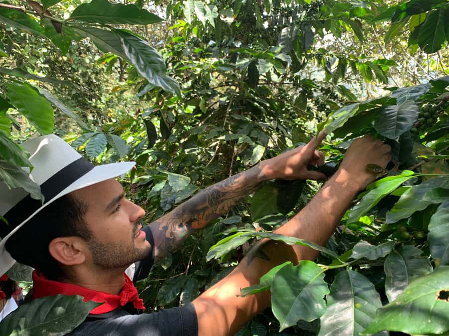Medellin: Coffee Tour with Transport, Snacks and Tastings - What to bring so the day feels easy (not miserable)