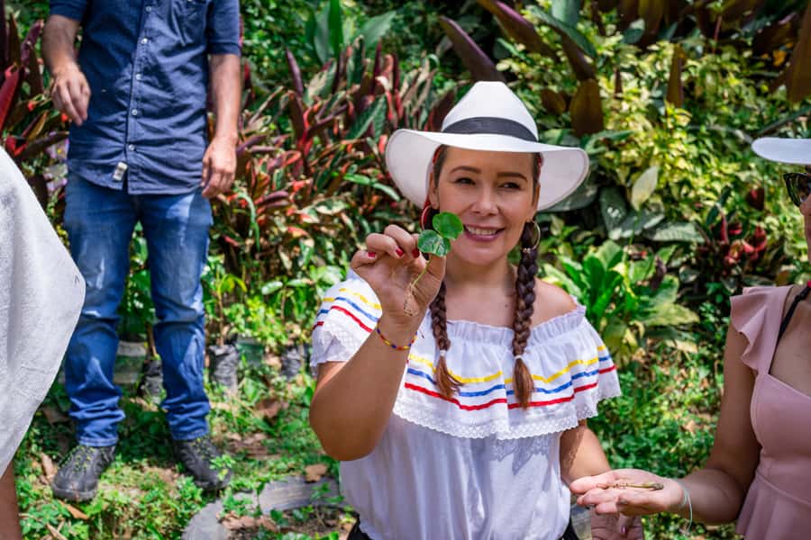 Medellin: Coffee Tour with Transport, Snacks and Tastings - Bean picking and the harvest-to-drying story you’ll actually remember