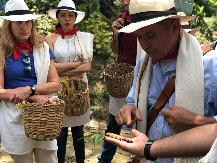 Medellin: Coffee Tour with Transport, Snacks and Tastings - Coffee brewing instruction plus a coffee-picker certificate