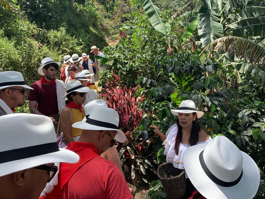 Medellin: Coffee Tour with Transport, Snacks and Tastings - Price, time, and value: is $80 a fair deal?