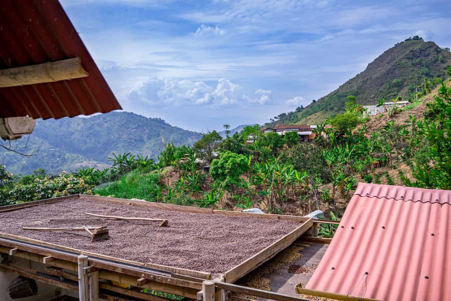 Medellin: Coffee Tour with Transport, Snacks and Tastings - Walking into the paisa vibe: dress-up, scenic stops, and “D’Arrieros” energy