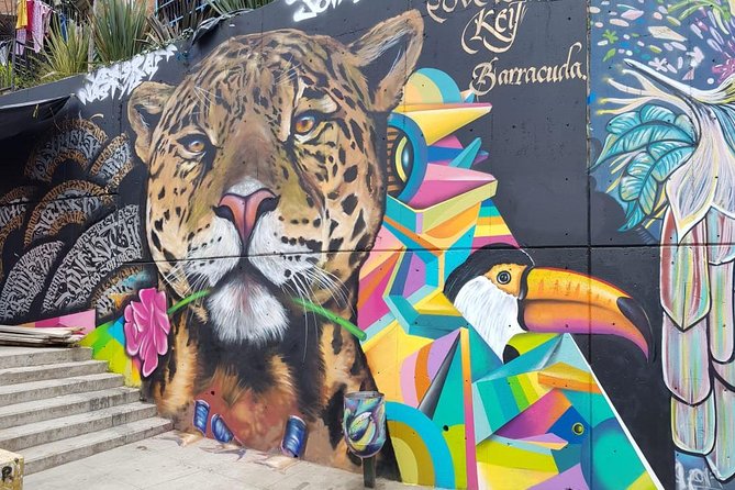 Medellín & Comuna 13 Private Tour - Key highlights you’ll actually care about