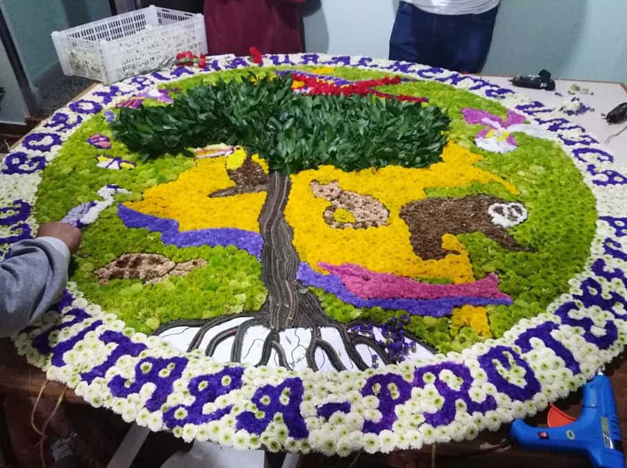 Medellín: Flower Farm & Silletero History Tour - Should You Book This Medellín Flower Farm & Silletero History Tour?