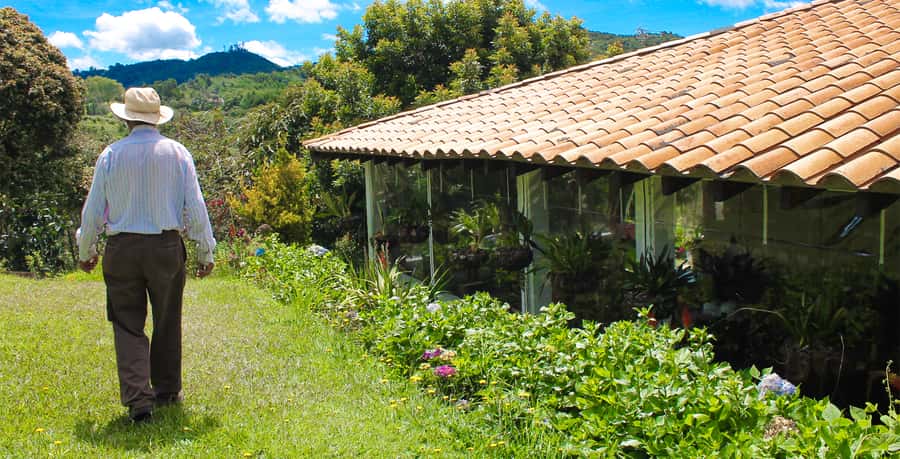 Medellín: Flower Farm & Silletero History Tour - How the Flower Displays Are Made: The History Thread You’ll Want to Follow