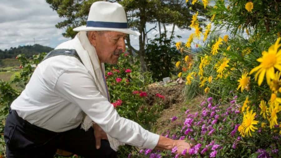 Medellín: Flower Farm & Silletero History Tour - The Estate Visit: Meeting a Silletero and Walking Through the Crops