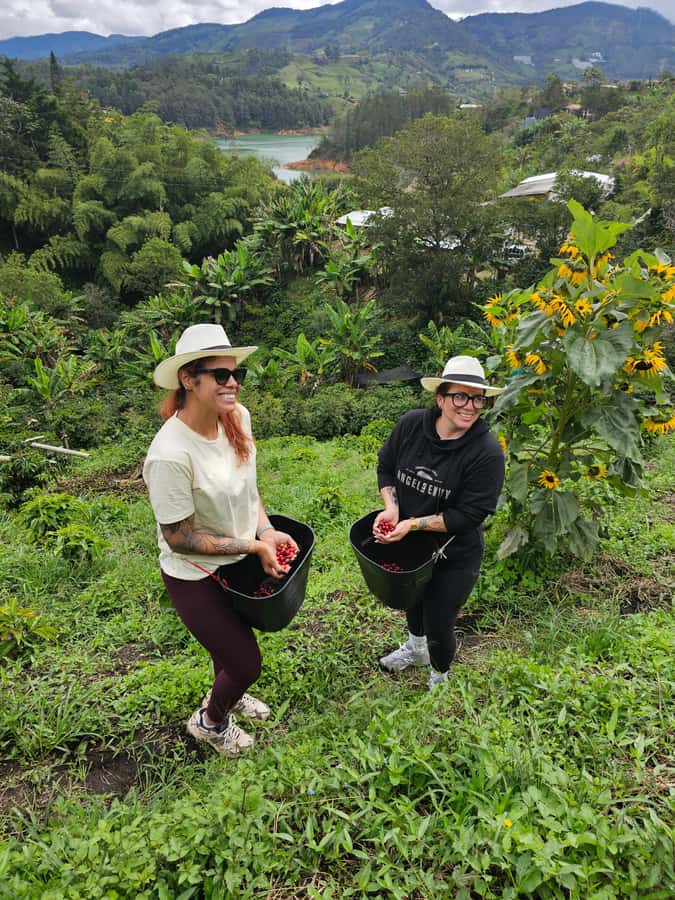 Medellin: Guatape, El Peñol Coffee Farm Private Tour & Fruit - Should You Book This Tour?