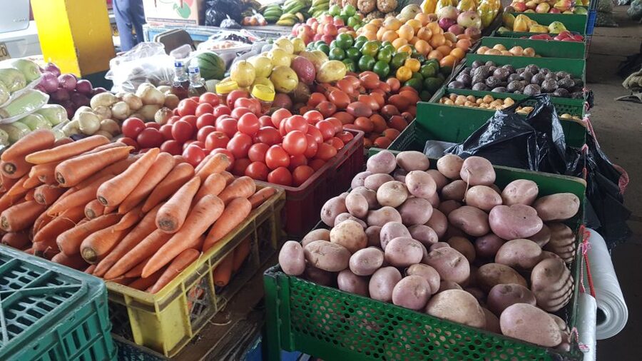 Medellin: Guatape, El Peñol Coffee Farm Private Tour & Fruit - Guatapé’s Colorful Streets: Walking the Town Like a Local