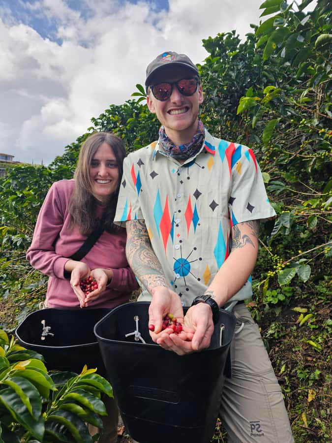 Medellin: Guatape, El Peñol Coffee Farm Private Tour & Fruit - Price and Value: What $169 Buys for an 8-Hour Private Day