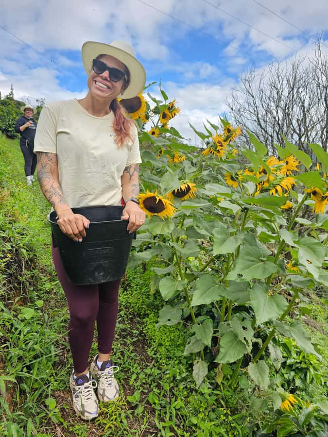 Medellin: Guatape, El Peñol Coffee Farm Private Tour & Fruit - What to Expect From Start to Finish (and How to Prepare)