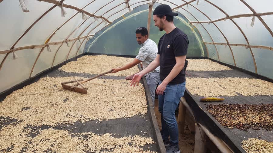 Medellin: Guatape, El Peñol Coffee Farm Private Tour & Fruit - El Peñol Coffee Farm: How Colombian Coffee Actually Gets Made