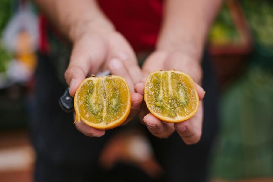 Medellín: Guided Exotic Fruits Tour - The market setting: your guide turns it into something comfortable