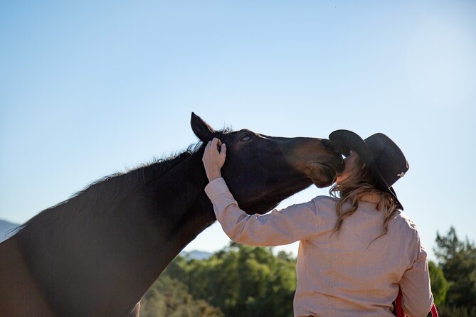 Medellin: Horseback Riding Adventure In Nature (Don't Overpay) - Horses and guides: friendly instruction, language expectations