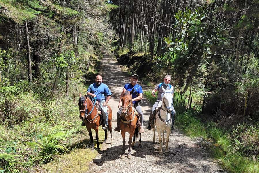Medellin: Horseback Riding Coffee Farm Tour with Coffee Spa - Key highlights you’ll actually care about